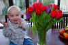 25.1.2004 Dada a tulipany.JPG (98245 bytes)